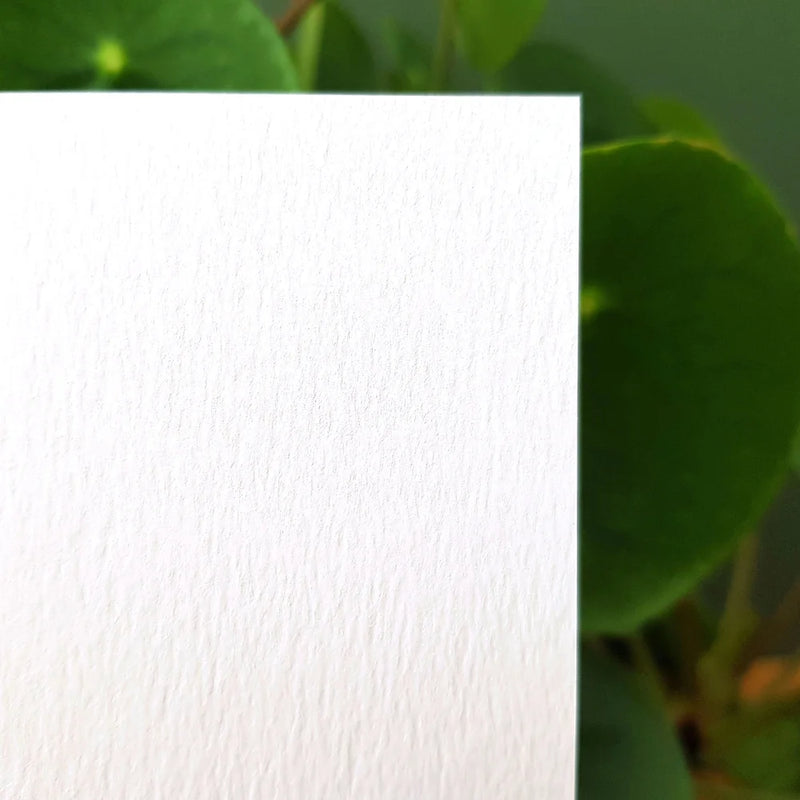 Little Wren Greetings Card