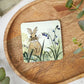 Bluebell Bunny Coaster