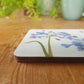 Agapanthus Coaster