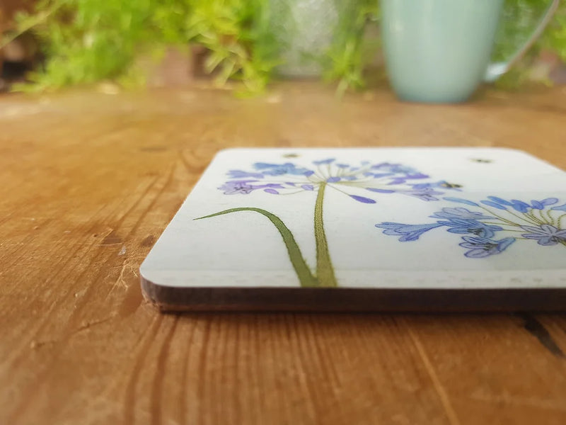 Agapanthus Coaster