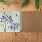 Agapanthus Coaster