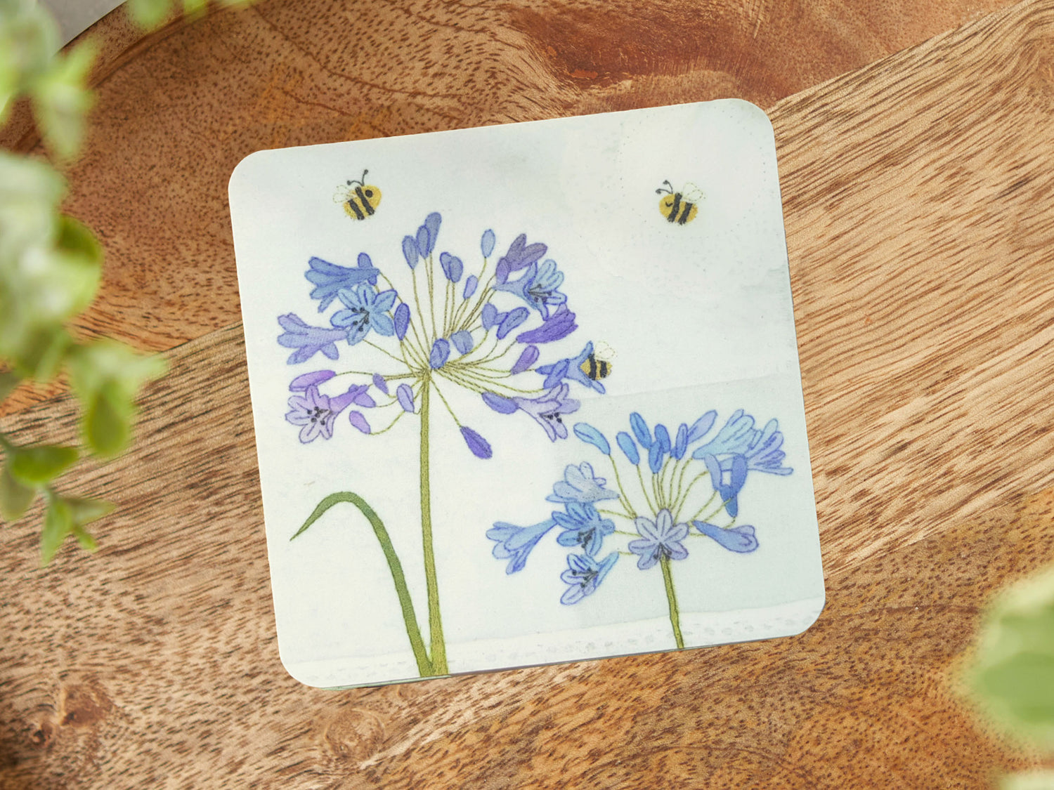 Agapanthus Coaster