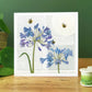 Agapanthus Bees Greeting Card