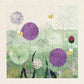 Alliums Kit Panel
