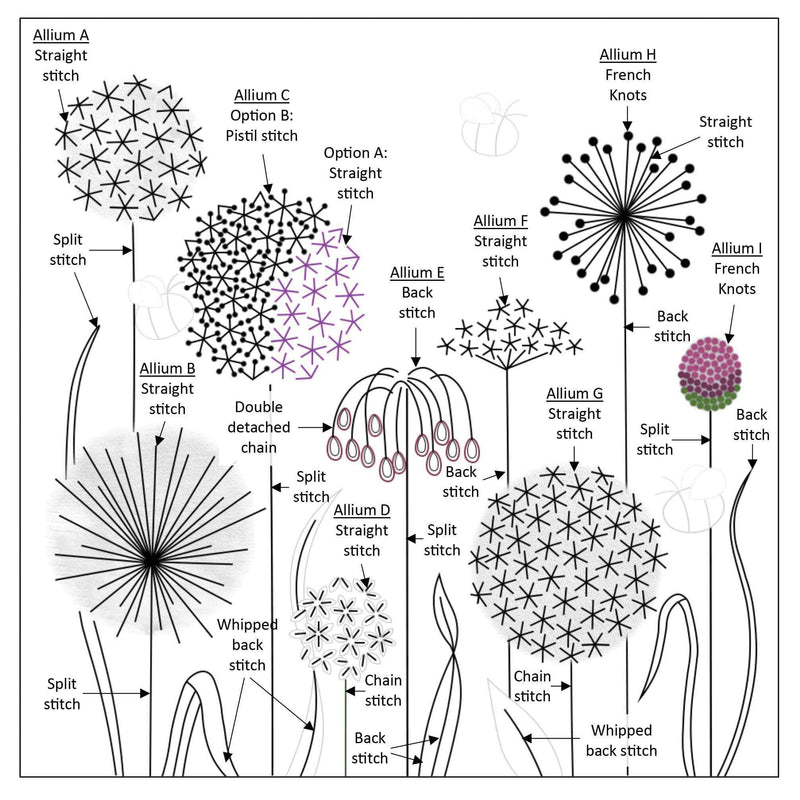 Alliums Kit Panel