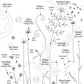 Bee Meadow Kit Panel