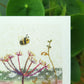 Clover Meadow Greetings Card