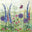 Beaks And Bobbins logo