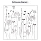 Echinaceas Hand Embroidery Kit