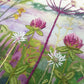 Clover Meadow Hand Embroidery Kit