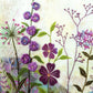 Purple Garden Hand Embroidery Kit