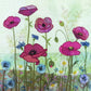 Poppy Meadow Embroidery Kit